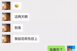 催收公司如何起诉：法律流程详解